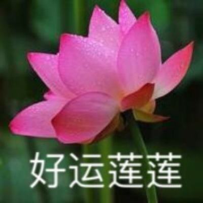 夏日甜心游戏华为版下载